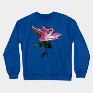 Lily and Bud Crewneck Sweatshirt